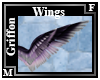 Setii Wings