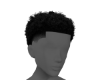 Negro Black Hair
