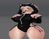🅩| CatSuit