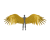 ☢ M Wings Gold