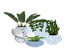 BABY BOY NURSERY PLANT