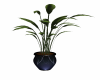 SN  Blue potted Plant 1