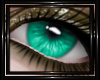 !T! Eyes | Elara T