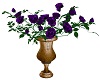 Purple Potted Roses