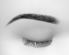 eyebrows