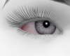 ^ཀ^ grey eyes. drv