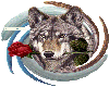 wolf n rose