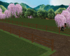CherryBlossom Fence2
