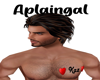 Kaz Chest Tat/M