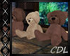 !C* Teddy Bears