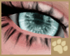 ~AM~ Xeondzo Eyes 2T v2