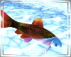 ambrine fish animated