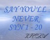 SAY YOU''LL NEVER