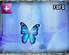 add butterfly - belly