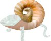 EdTree Seashell Chair