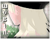 🐭 Add Oasis