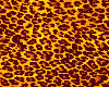 leopard *97L*