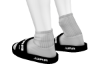 GS-RAW SLIDES
