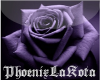 Purple Rose Blanket