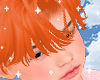 Kobel Ginger