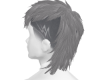 HAIR GRAY
