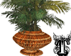 Palm Plant Wicker Basket