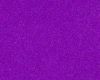 Purple Passion Carpet