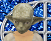 Yoda Head