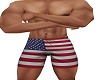 American flag shorts