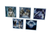 ! 5 wolf pictures !