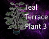 TEAL TERRACE PLANT #3