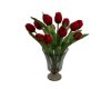 X. Red Tulips