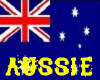 Aussie Mens Boots