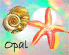 C)Opal Treasures Set