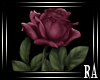 RA| Pink Rose Sticker