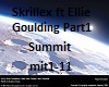 Skrillex Summit Part1