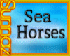 (S1)SeaHorses