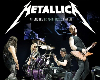 Metallica No Leaf P2