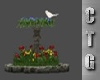 CTG    BIRD BATH