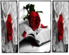 SG Roses Red White Pics