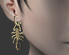 Scorpio gold earrings