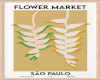 san paulo flower market