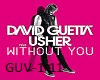 DaviD-Guetta-Without-You