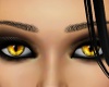 *jf* Golden Cat Eyes MF
