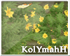 KYH |the rock flower