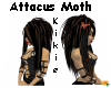 *Attacus Moth* Kikie