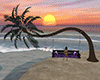 Aloha Beach Swing