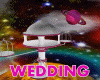 ~C~GALAXY WEDDING PV