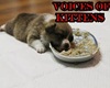 voices of kittens