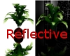 Reflective Plant